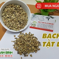 Mua bán bạch tật lê tại TP.HCM uy tín chất lượng tốt nhất