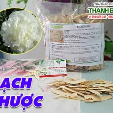 Mua bán bạch thược tại TP.HCM uy tín chất lượng tốt nhất