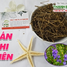 Mua bán bán chi liên tại quận 8 có tác dụng trị rắn độc cắn uy tín nhất