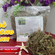 Mua bán bồ công anh tại quận 1 có tác dụng phòng ngừa ung thư an toàn nhất
