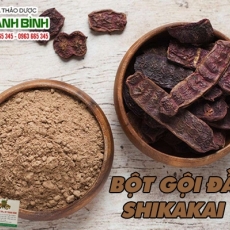 Mua bán bột gội đầu Shikakai (Bột shikakai) TP.HCM uy tín chất lượng tốt nhất