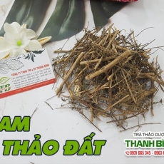 Mua bán cam thảo đất tại TP.HCM uy tín chất lượng tốt nhất