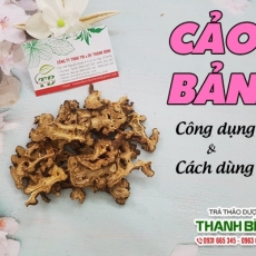 Mua bán cảo bản tại quận 8 có tác dụng trị đau đỉnh đầu uy tín nhất