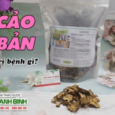 Mua bán cảo bản tại TP.HCM uy tín chất lượng tốt nhất