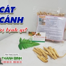 Mua bán cát cánh tại quận 9 có công dụng phòng chống loét dạ dạ dày hiệu quả