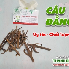 Mua bán câu đằng ở quận Tân Bình giúp trị chóng mặt tốt nhất