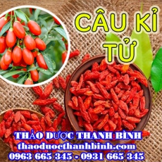 Mua bán câu kỉ tử tại Đồng Nai giúp bổ tinh khí điều trị mộng tinh hiệu quả