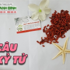Mua bán câu kỷ tử ở quận Bình Tân giúp bảo vệ gan tốt nhất