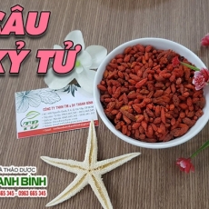 Mua bán câu kỷ tử ở quận Bình Tân giúp chống oxy hóa tốt nhất