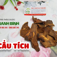 Mua bán cẩu tích ở quận Tân Bình chữa chứng tiểu đêm ở người cao tuổi
