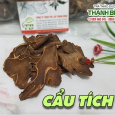 Mua bán cẩu tích tại TP.HCM uy tín chất lượng tốt nhất