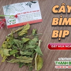 Mua bán cây bìm bịp ở quận Bình Tân giúp mau liền xương tốt nhất