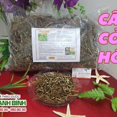 Mua bán cây cỏ hôi ở huyện Hóc Môn giúp trị viêm mũi hiệu quả nhất