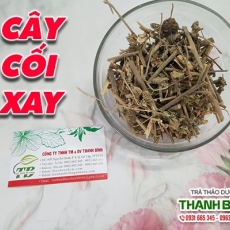 Mua bán cây cối xay ở quận Gò Vấp giúp trị viêm da hiệu quả tốt nhất