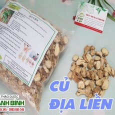 Mua bán cây củ địa liền tại TP.HCM uy tín chất lượng tốt nhất