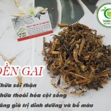 Mua bán cây dền gai tại TP.HCM uy tín chất lượng tốt nhất