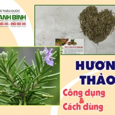 Mua bán cây hương thảo ở quận Tân Bình giúp chữa trị mất ngủ tốt nhất