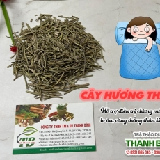 Mua bán cây hương thảo ở quận Tân Phú có tác dụng giúp long đờm hiệu quả