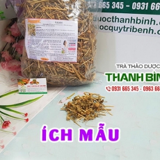 Mua bán cây ích mẫu tại quận 5 dùng làm thuốc điều kinh cho phụ nữ