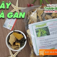 Mua bán cây lá gan tại TP.HCM uy tín chất lượng tốt nhất