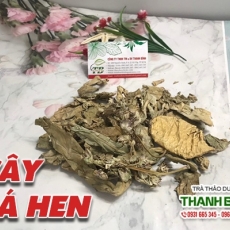 Mua bán cây lá hen tại quận 1 giúp điều trị các bệnh về đường hô hấp