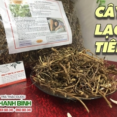 Mua bán cây lạc tiên ở quận Tân Bình giúp trị hồi hộp lo lắng tốt nhất