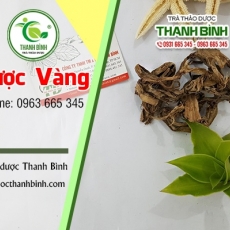 Mua bán cây lược vàng tại quận 2 có tác dụng làm thuốc giảm nhức răng hiệu quả tốt