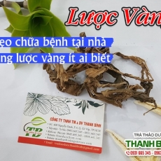 Mua bán cây lược vàng tại TP.HCM uy tín chất lượng tốt nhất