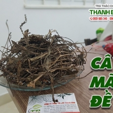 Mua bán cây mã đề tại quận 1 có tác dụng điều trị bí tiểu an toàn nhất
