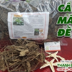 Mua bán cây mã đề (xa tiền tử) tại TP.HCM uy tín chất lượng tốt nhất