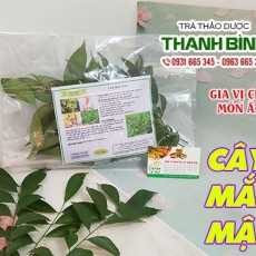 Mua bán cây mắc mật tại quận 5 giúp trị đau nhức xương khớp hiệu quả nhất