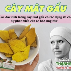 Mua bán cây mật gấu tại quận 12 có tác dụng trị chứng vàng da uy tín nhất