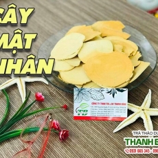 Mua bán cây mật nhân ở quận Gò Vấp giúp ổn định đường huyết hiệu quả tốt nhất