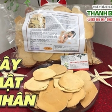 Mua bán cây mật nhân tại TP.HCM uy tín chất lượng tốt nhất