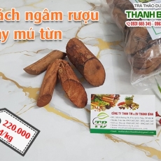 Mua bán cây mú từn tại TP.HCM uy tín chất lượng tốt nhất