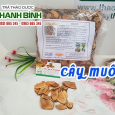 Mua bán cây muối tại quận 11 hỗ trợ điều trị bệnh phù thũng tốt nhất