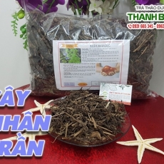 Mua bán cây nhân trần tại TP.HCM uy tín chất lượng tốt nhất