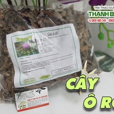 Mua bán cây ô rô tại TP.HCM uy tín chất lượng tốt nhất