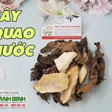 Mua bán cây quao nước tại TP.HCM uy tín chất lượng tốt nhất