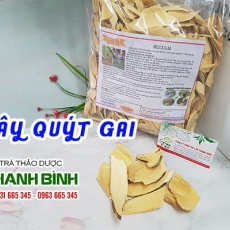 Mua bán cây quýt gai tại TP.HCM uy tín chất lượng tốt nhất