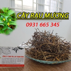 Mua bán cây rau mương tại huyện Thường Tín điều trị thấp khớp tốt nhất