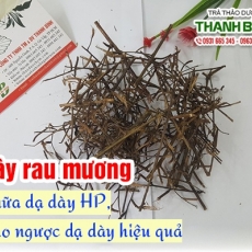 Mua bán cây rau mương tại TP.HCM uy tín chất lượng tốt nhất