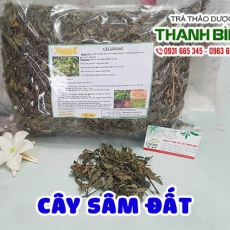 Mua bán cây sâm đất ở quận Tân Phú điều trị viêm đường tiết niệu