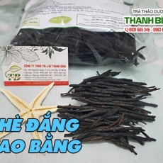 Mua bán chè đắng Cao Bằng tại TP.HCM uy tín chất lượng tốt nhất