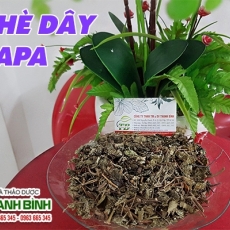 Mua bán chè dây Sapa tại TP.HCM uy tín chất lượng tốt nhất