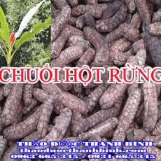 Mua bán chuối hột rừng tại Bà Rịa - Vũng Tàu giúp điều trị kiết lỵ hiệu quả