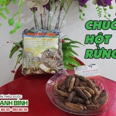 Mua bán chuối hột rừng tại quận 1 có tác dụng điều trị sỏi thận an toàn nhất