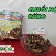 Mua bán chuối hột rừng tại TP.HCM uy tín chất lượng tốt nhất