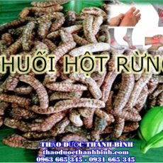 Mua bán sỉ và lẻ chuối hột rừng tại Bà Rịa - Vũng Tàu giá tốt nhất