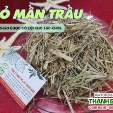 Mua bán cỏ mần trầu ở huyện Cần Giờ có tác dụng chữa ho khan hiệu quả nhất